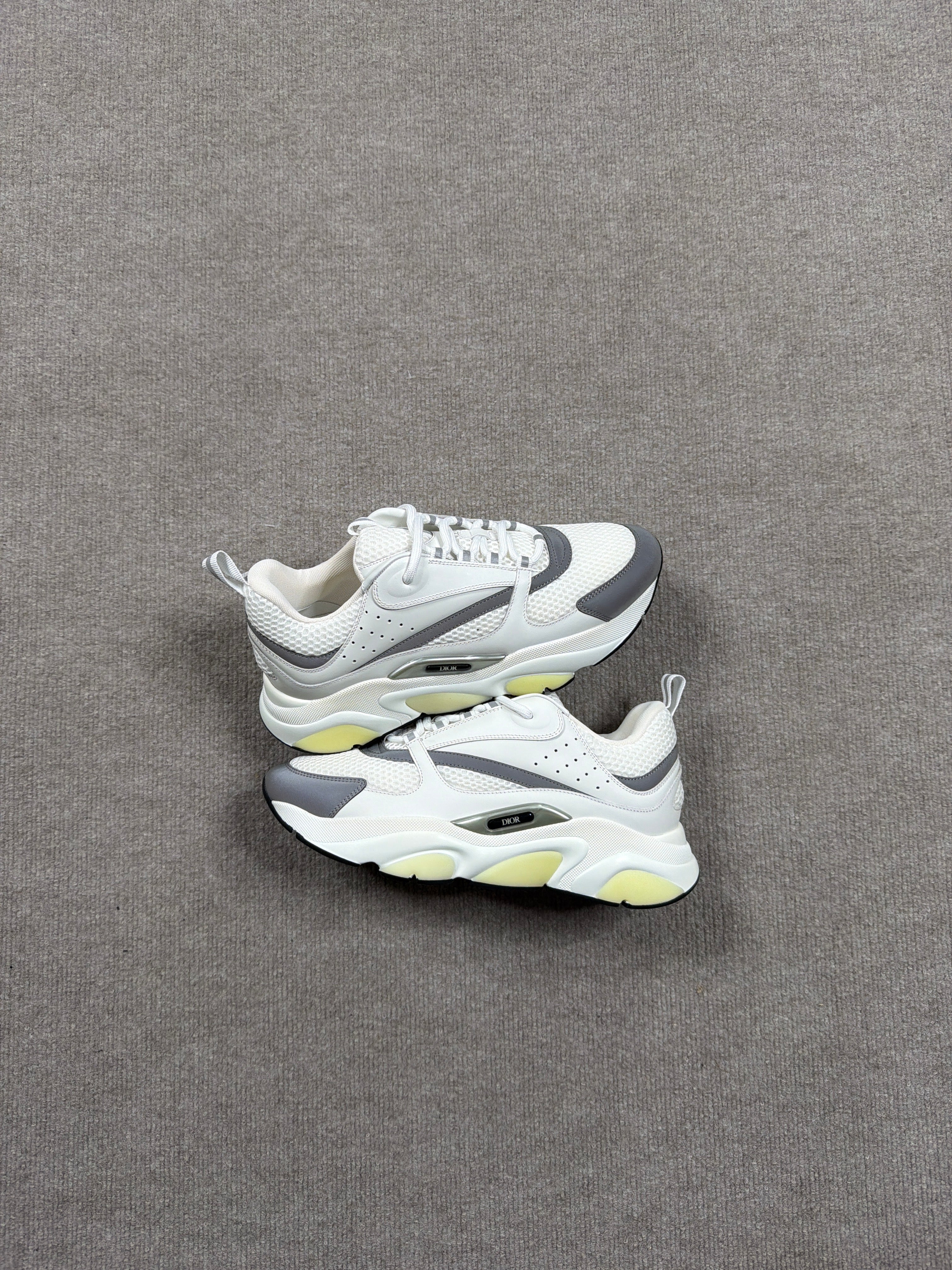 Dior b22 Bage/White