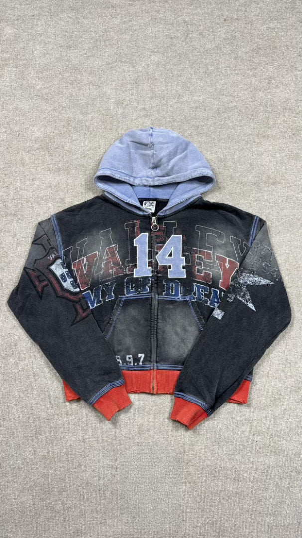 Valley dreams multi color Zip up hoodie